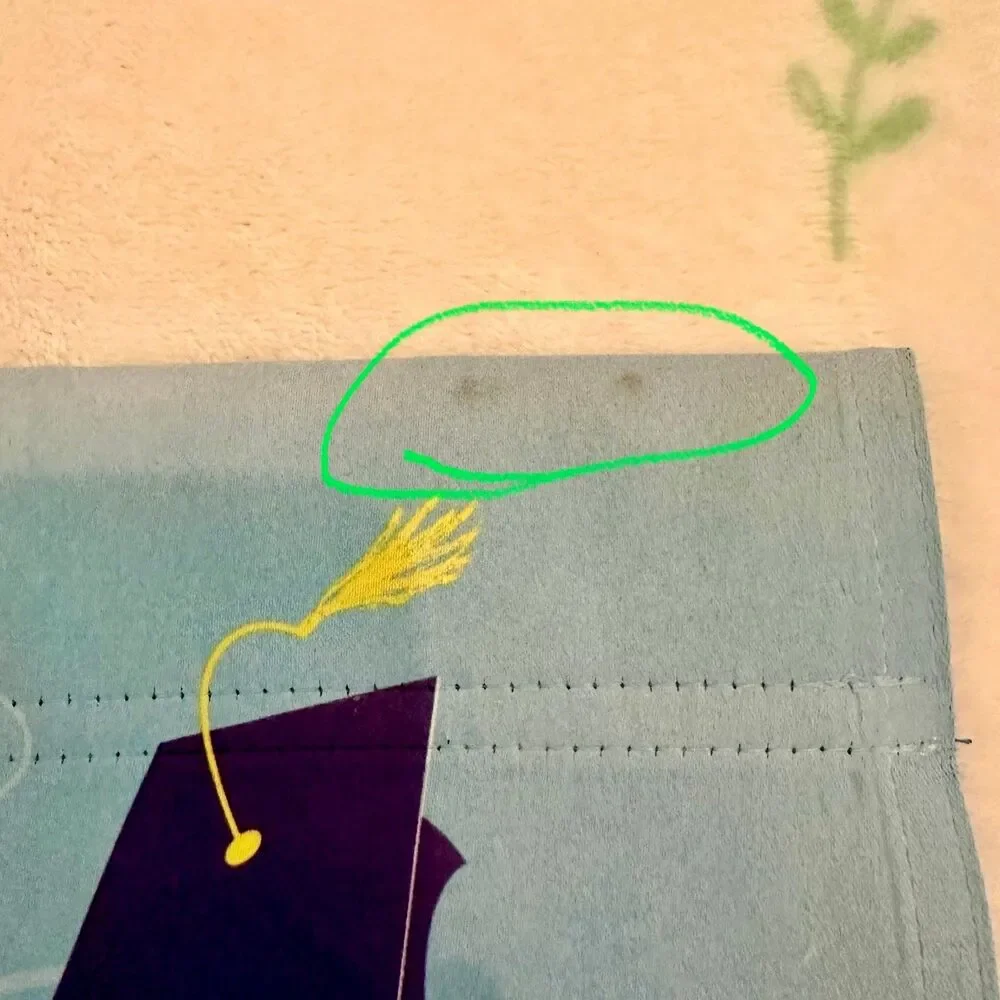 Graduation Yard/Garden Flag